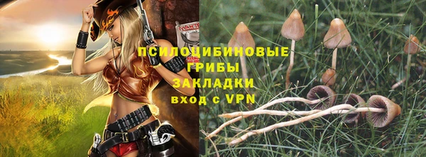 ГАЛЛЮЦИНОГЕННЫЕ ГРИБЫ Кукмор