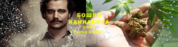 ГАЛЛЮЦИНОГЕННЫЕ ГРИБЫ Кукмор