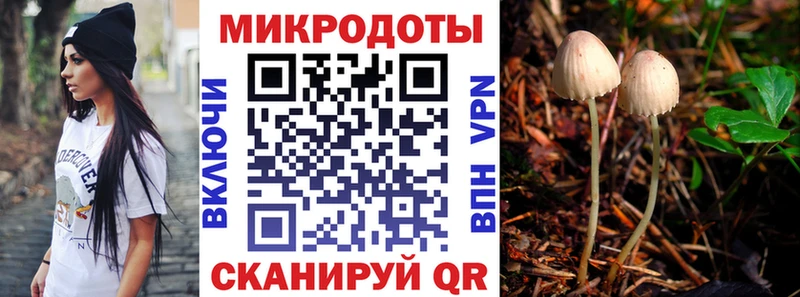 Галлюциногенные грибы мицелий  Купить  Ак-Довурак 